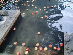 -深业半汤御泉庄温泉