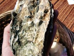 -蚝堡海鲜·威海菜·海肠捞饭·烧烤·亚洲吃蚝公司(幸福门店)