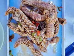 -1910老鲁味海鲜·戳子肉·青岛菜(金沙滩店)