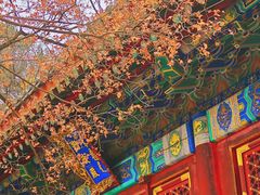 -香山公园