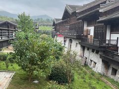 -大唐贡茶院