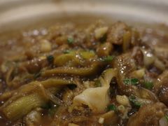 海螺炖茄子-渔娘渔家丹东海鲜(东直门店)