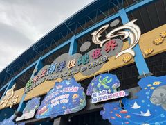 -泉城欧乐堡海洋极地世界
