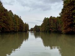 -上海海湾国家森林公园