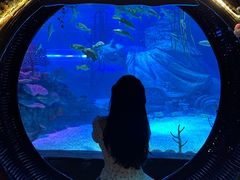 -沈阳海洋探索中心