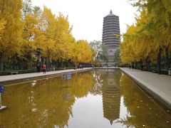 -玲珑塔公园