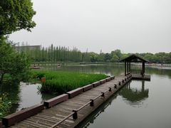 -圩墩遗址公园