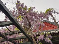 -北京市劳动人民文化宫(太庙)