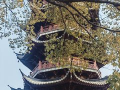 -龙华素斋(龙华路店)