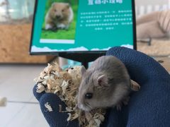 -怪兽屋·羊驼·猫咖·狗咖(俊华广场店)