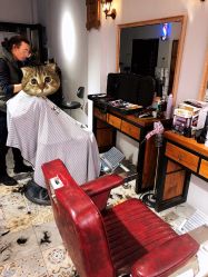 -摩力美发·烫·染·设计专业店