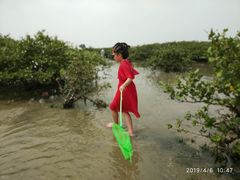 -北海金海湾红树林生态旅游区