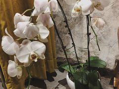 -春庄咖啡SpringHues(钟楼小区店)
