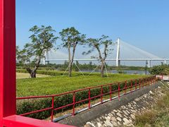 -芒洲湿地公园