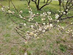 -蜀冈西峰生态公园