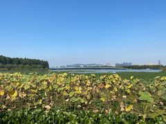 -宝界山林公园