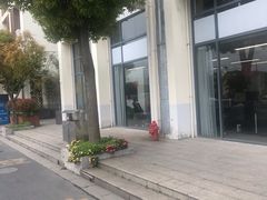 -上海长江软件园