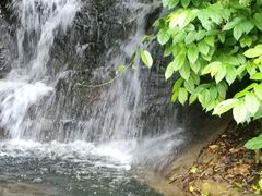 -金鸡山公园