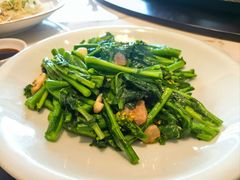 猪油渣炒板蓝根-聚福宝合苑食府(南头镇店)