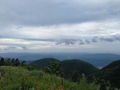 -武陵山森林公园