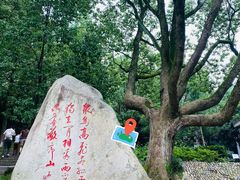 -敬亭山风景名胜区