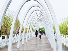 -大兴滨河森林公园