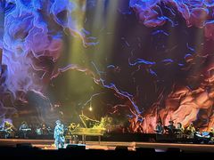 -合肥滨湖国家森林公园