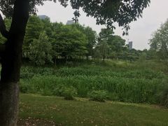 -尚贤河湿地