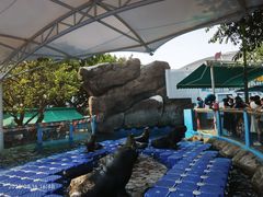 -海合安成都极地海洋公园