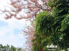 -丹樱生态园