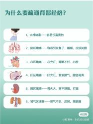 -香薇妮丝女子减肥院