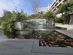 -广州白天鹅宾馆