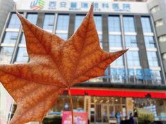 -西安普瑞眼科医院·近视手术·视力防控