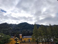 -九华山聚龙大酒店