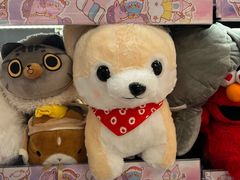 -DON DON DONKI(名珠城店)