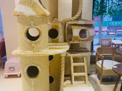 -藏猫猫咖啡主题馆(中央大道店)