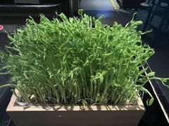 -捞王猪肚鸡火锅(财富中心店)