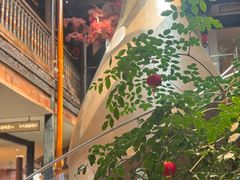 -芸南道·过桥米线(昆明老街旗舰店)