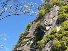 -陕西省红河谷森林公园