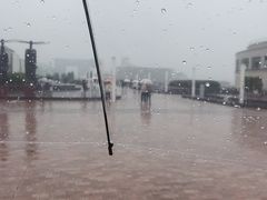 -台场海滨公园船码头