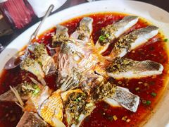 -甄御•海鲜新青岛菜(麦岛店)