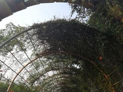 -东湖欢乐水世界