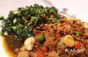 Spicy Mixed Vegetable and Meat Salad