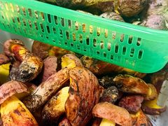 -双喜农庄·菌香园(安居家园店)