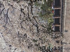-红星桥(地铁站)