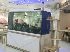 -喵园·猫主题咖啡厅·撸猫·猫咖(国贸店)