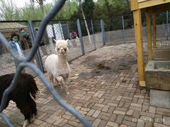 -长白岛森林公园