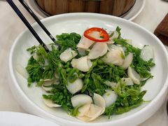 凉拌百合夜来香-凤凰楼酒家·粤宴点心(华强北店)