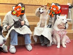 -和它·交个朋友·狗咖猫咖(爱琴海店)