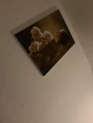 -倾城妃姿美疗中心